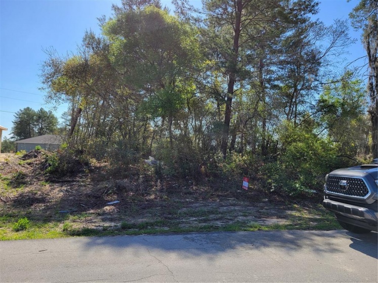 0 25TH TERRACE, OCALA, Florida 34473, ,Land,For Sale,25TH,OM636414