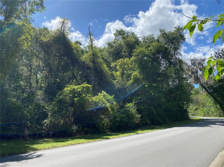 Lot 116 12TH CIRCLE, OCALA, Florida 34480, ,Land,For Sale,12TH,OM636472