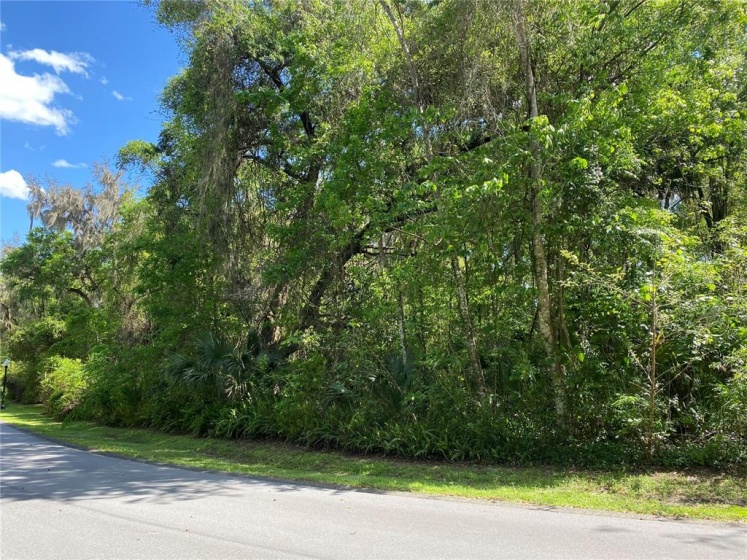 Lot 116 12TH CIRCLE, OCALA, Florida 34480, ,Land,For Sale,12TH,OM636472