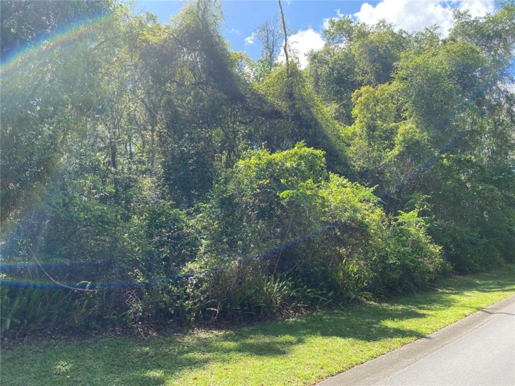 Lot 116 12TH CIRCLE, OCALA, Florida 34480, ,Land,For Sale,12TH,OM636472