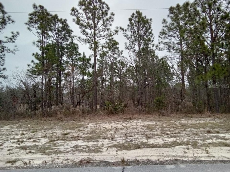 0 131ST PLACE, OCALA, Florida 34473, ,Land,For Sale,131ST,O6013569