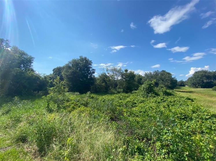 1405 STUART LANE, POINCIANA, Florida 34759, ,Land,For Sale,STUART,O6013584