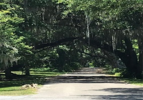 59TH COURT, OCALA, Florida 34482, ,Land,For Sale,59TH,OM636492