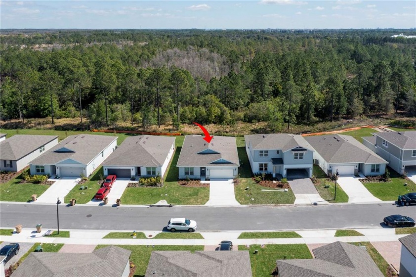 17269 CAGAN CROSSINGS BOULEVARD, CLERMONT, Florida 34714, 4 Bedrooms Bedrooms, ,2 BathroomsBathrooms,Residential,For Sale,CAGAN CROSSINGS,O6013506