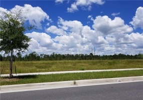 APOPKA VINELAND ROAD, ORLANDO, Florida 32821, ,Land,For Sale,APOPKA VINELAND,O5773822