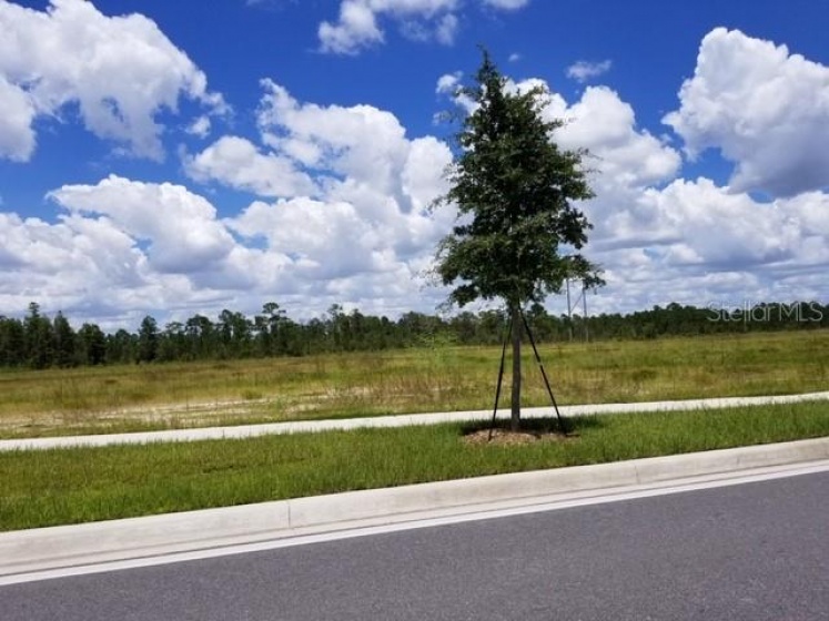 APOPKA VINELAND ROAD, ORLANDO, Florida 32821, ,Land,For Sale,APOPKA VINELAND,O5773822