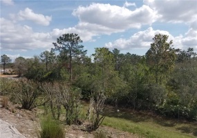 APOPKA VINELAND, ORLANDO, Florida 32821, ,Land,For Sale,APOPKA VINELAND,O5564232