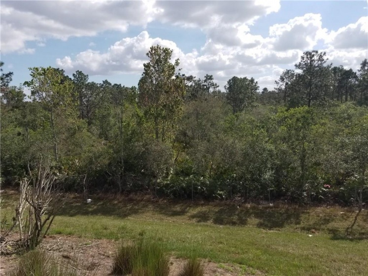 APOPKA VINELAND, ORLANDO, Florida 32821, ,Land,For Sale,APOPKA VINELAND,O5564232
