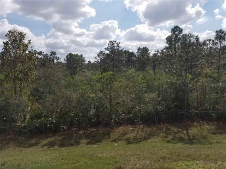 APOPKA VINELAND, ORLANDO, Florida 32821, ,Land,For Sale,APOPKA VINELAND,O5564232