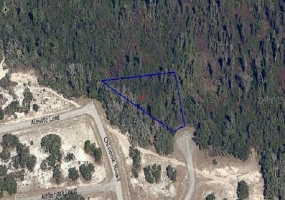 AMBERJACK LANE, POINCIANA, Florida 34759, ,Land,For Sale,AMBERJACK,O5791034
