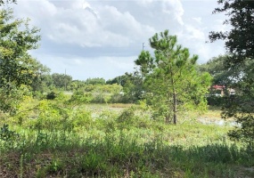14913 ARRENA ROAD, WINTER GARDEN, Florida 34787, ,Land,For Sale,ARRENA,G5018389