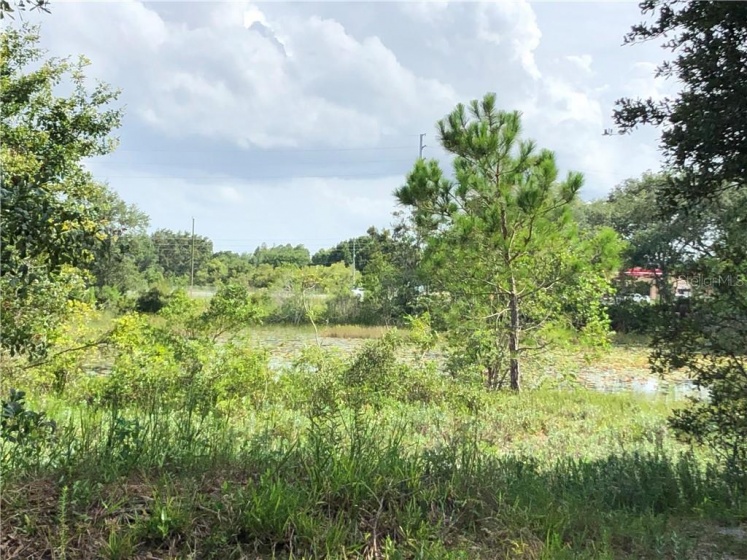 14913 ARRENA ROAD, WINTER GARDEN, Florida 34787, ,Land,For Sale,ARRENA,G5018389