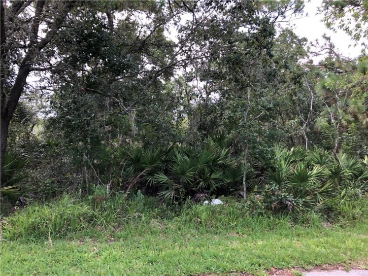 14913 ARRENA ROAD, WINTER GARDEN, Florida 34787, ,Land,For Sale,ARRENA,G5018389