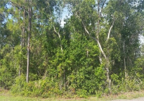 MIDWAY ROAD, HAINES CITY, Florida 33844, ,Land,For Sale,MIDWAY,P4901143