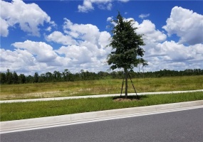 ORLANDO, Florida 32821, ,Land,For Sale,O5726225