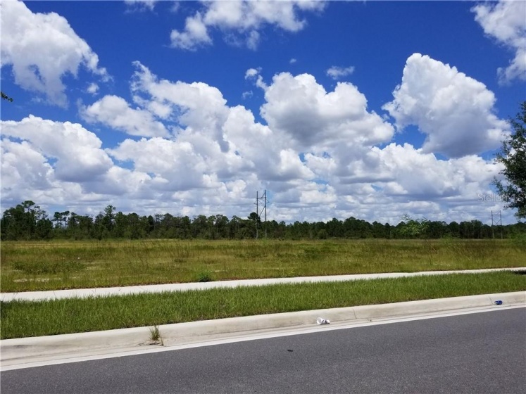 ORLANDO, Florida 32821, ,Land,For Sale,O5726225