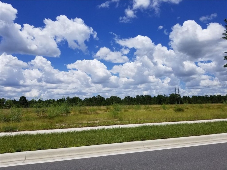 ORLANDO, Florida 32821, ,Land,For Sale,O5726225
