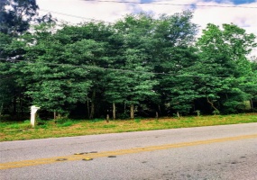 CYPRESS GARDENS RD, WINTER HAVEN, Florida 33880, ,Land,For Sale,CYPRESS GARDENS RD,P4908302