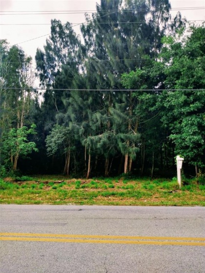 CYPRESS GARDENS RD, WINTER HAVEN, Florida 33880, ,Land,For Sale,CYPRESS GARDENS RD,P4908302