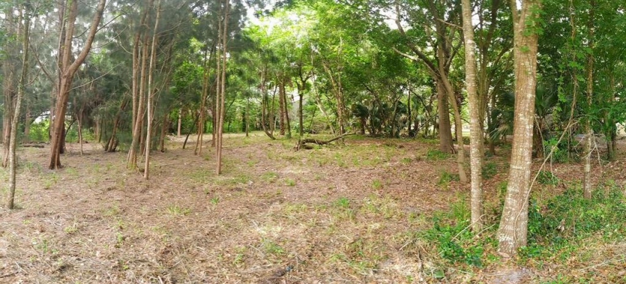 CYPRESS GARDENS RD, WINTER HAVEN, Florida 33880, ,Land,For Sale,CYPRESS GARDENS RD,P4908302