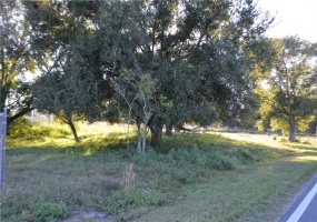 1919 OLD BARTOW ROAD, LAKE WALES, Florida 33859, ,Land,For Sale,OLD BARTOW,P4908853
