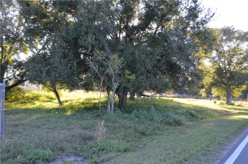 1919 OLD BARTOW ROAD, LAKE WALES, Florida 33859, ,Land,For Sale,OLD BARTOW,P4908853