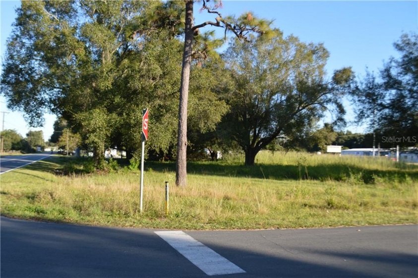 1919 OLD BARTOW ROAD, LAKE WALES, Florida 33859, ,Land,For Sale,OLD BARTOW,P4908853