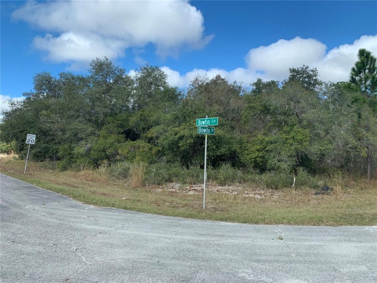 BOWFIN LANE, POINCIANA, Florida 34759, ,Land,For Sale,BOWFIN,S4846062