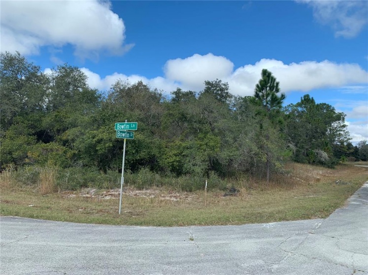 BOWFIN LANE, POINCIANA, Florida 34759, ,Land,For Sale,BOWFIN,S4846062