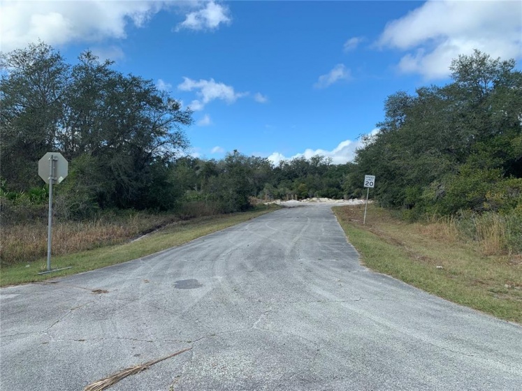 BOWFIN LANE, POINCIANA, Florida 34759, ,Land,For Sale,BOWFIN,S4846062