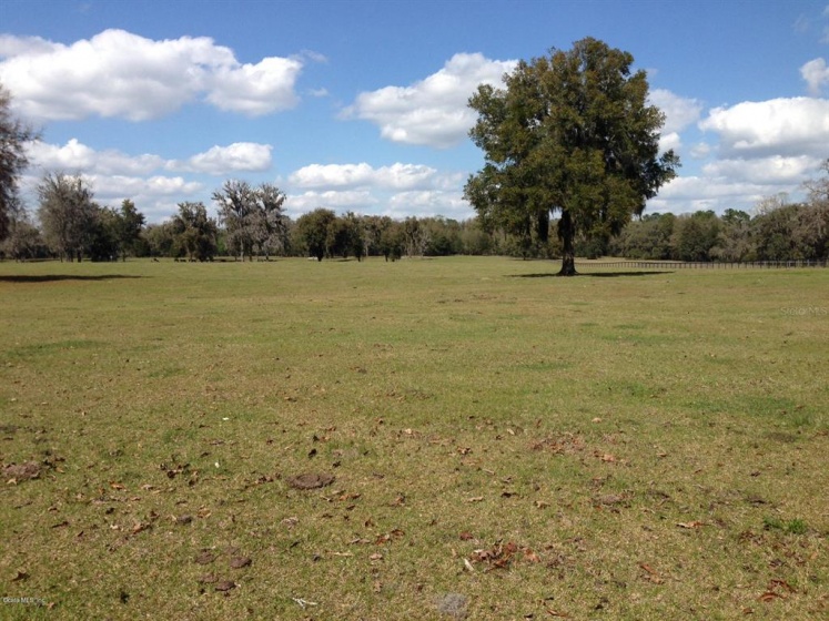 0 95th STREET, OCALA, Florida 34482, ,Land,For Sale,95th,OM558469